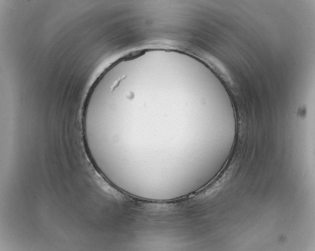 X0000090751192200708172021