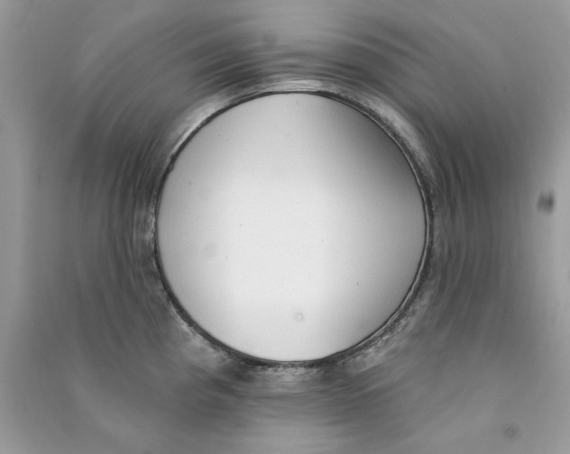 X0000090751193200708172021