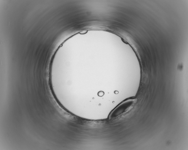 X0000090751195200708172021