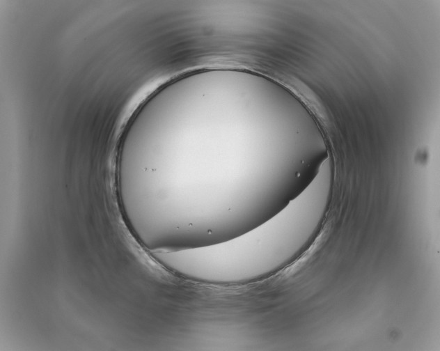 X0000090751196200708172021