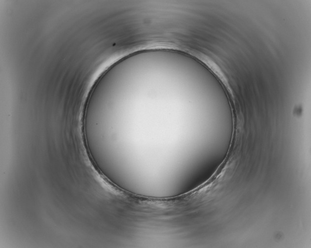 X0000090751197200708172021