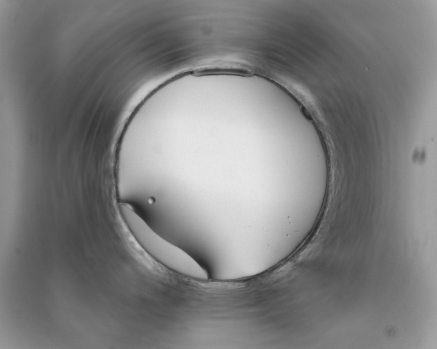 X0000090751200200708172021