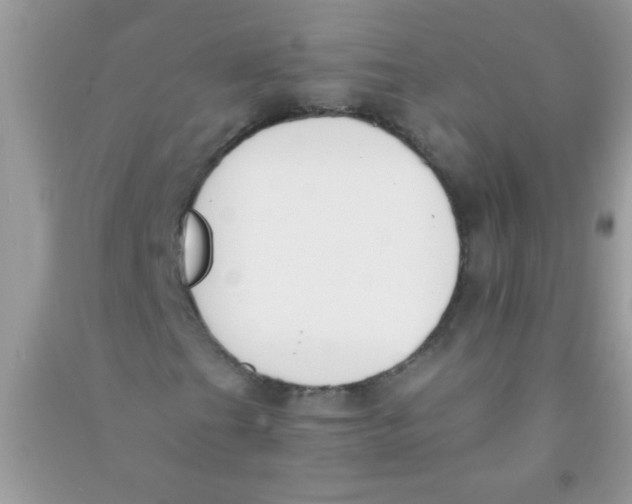 X0000090751201200708172020