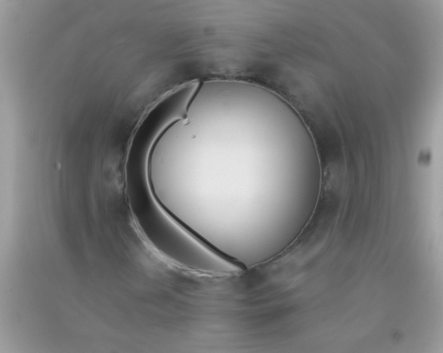 X0000090751202200708172020