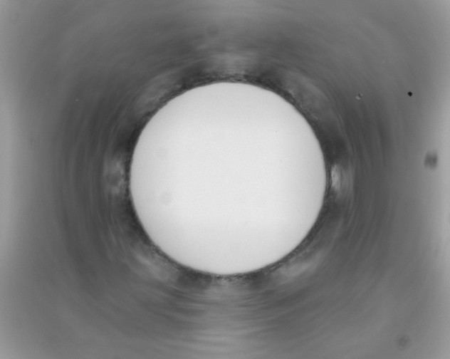 X0000090751203200708172020