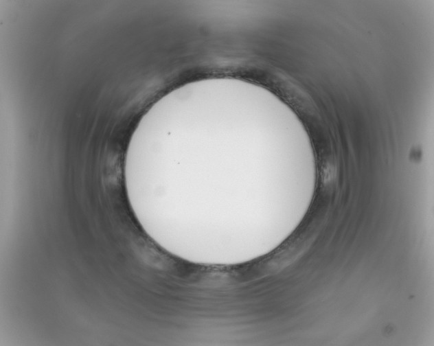 X0000090751204200708172020