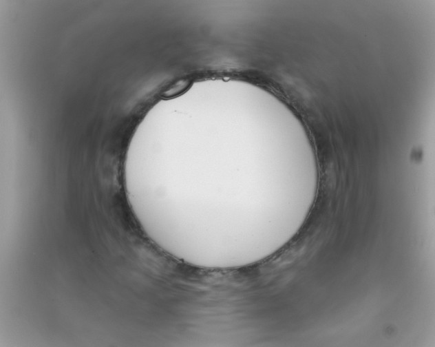 X0000090751205200708172020