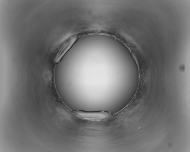 X0000090751206200708172020