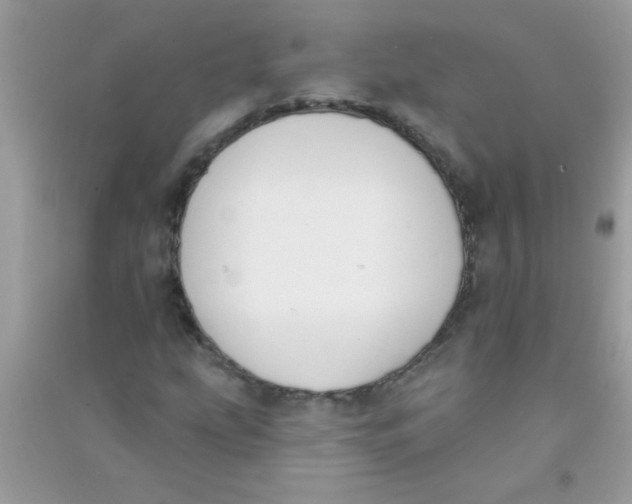 X0000090751207200708172020
