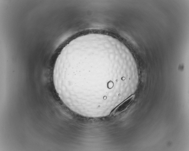 X0000090751208200708172020