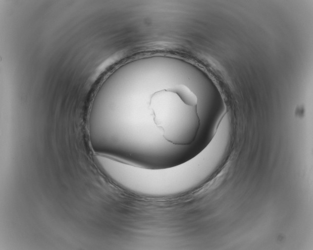 X0000090751210200708172020