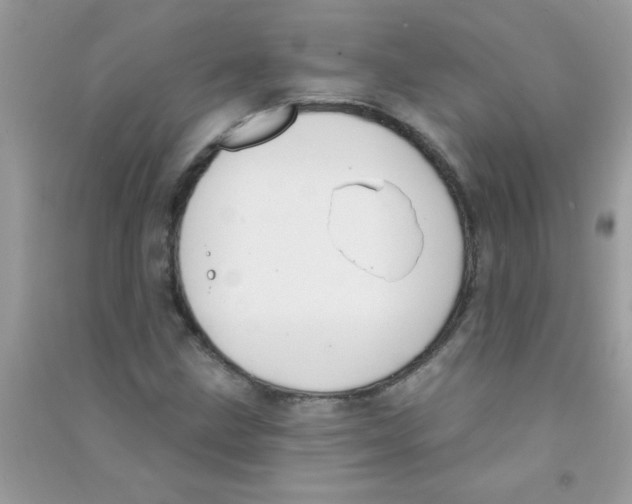 X0000090751211200708172021