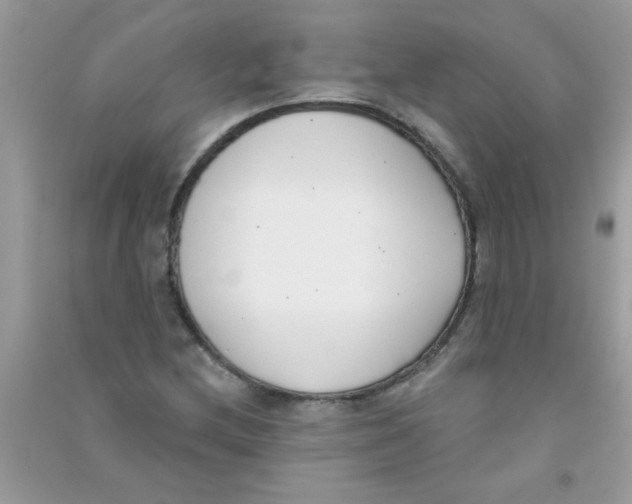 X0000090751212200708172021