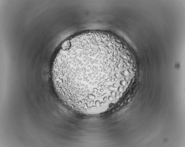 X0000090751213200708172021