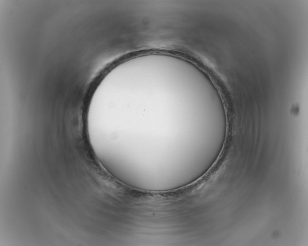 X0000090751214200708172021
