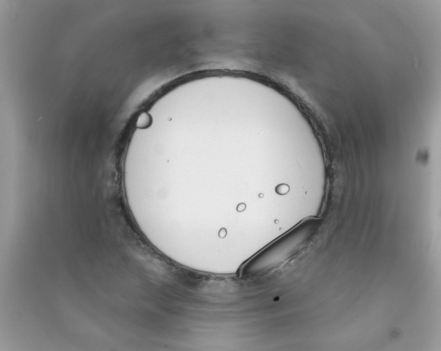 X0000090751215200708172021