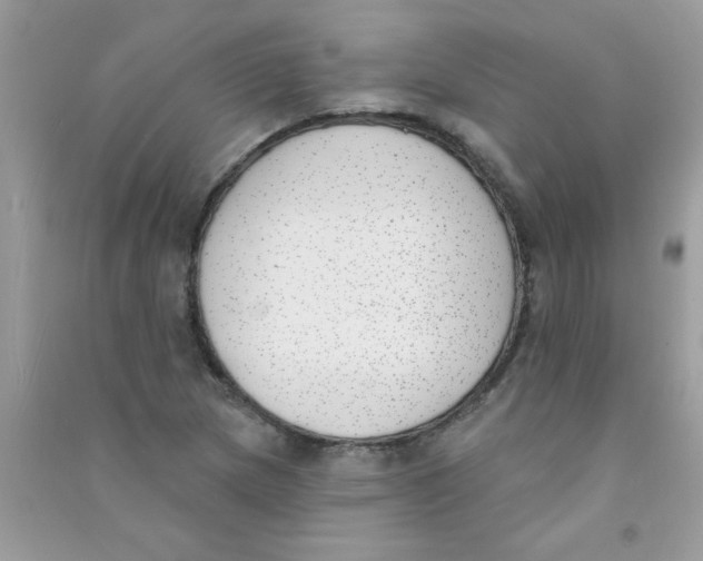 X0000090751217200708172021