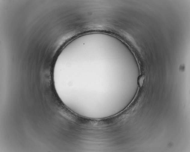 X0000090751218200708172021