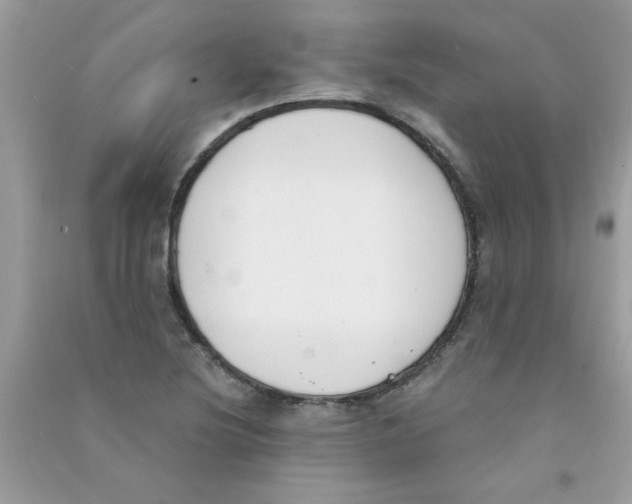 X0000090751220200708172021