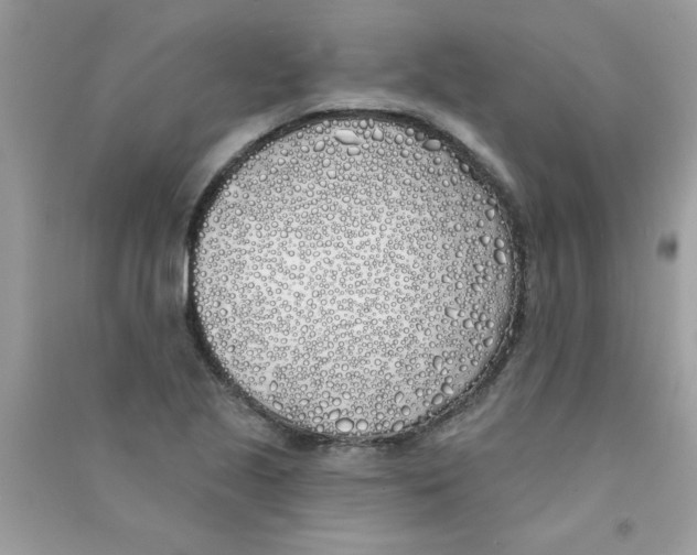 X0000090751221200708172021