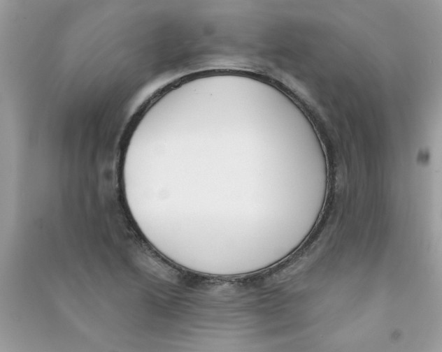X0000090751222200708172021