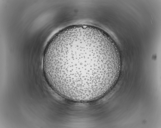 X0000090751224200708172021