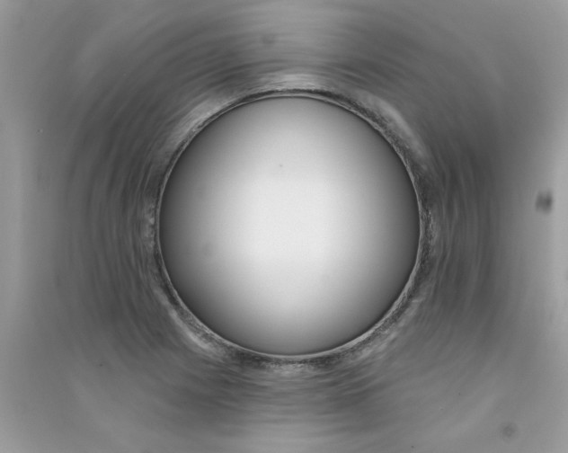 X0000090751225200708172021