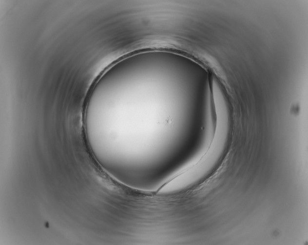 X0000090751226200708172021