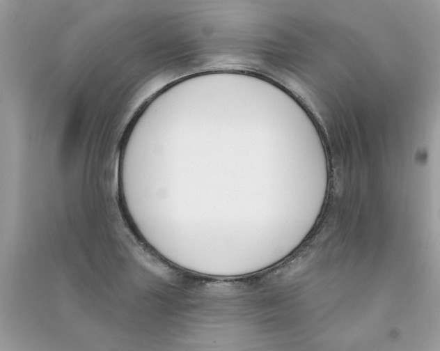 X0000090751227200708172021