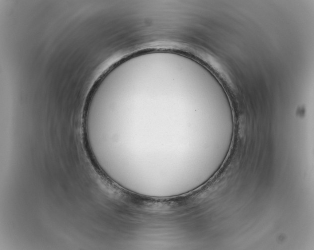 X0000090751229200708172021