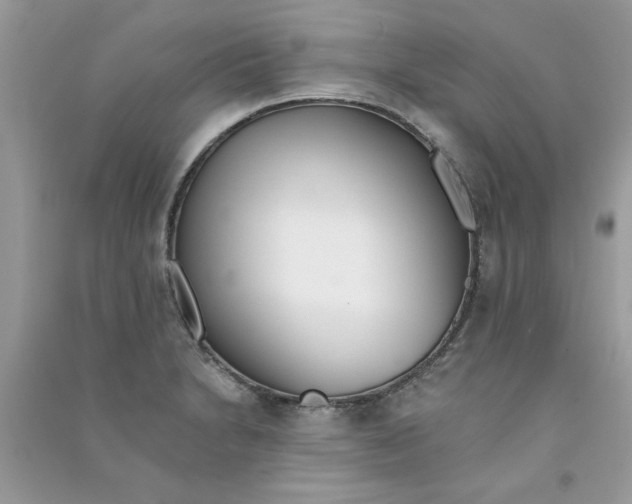 X0000090751230200708172021