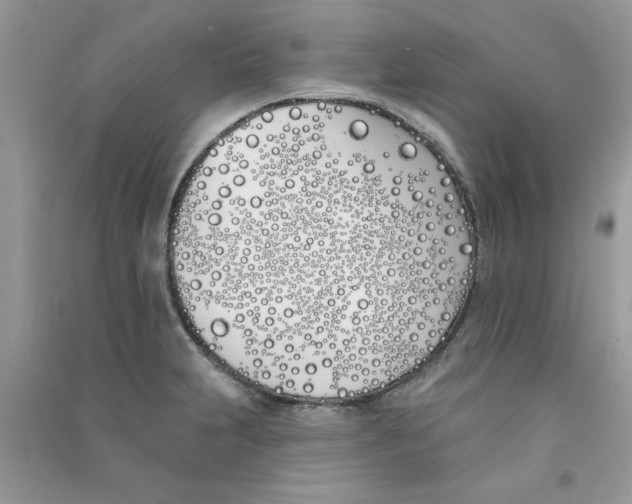 X0000090751231200708172021