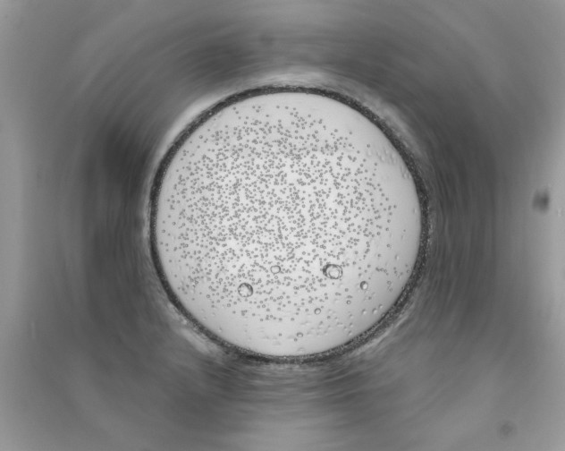 X0000090751232200708172021