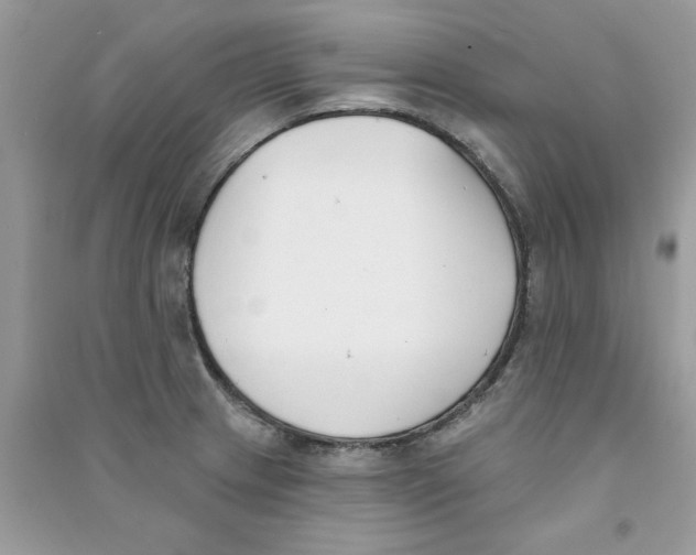 X0000090751233200708172021