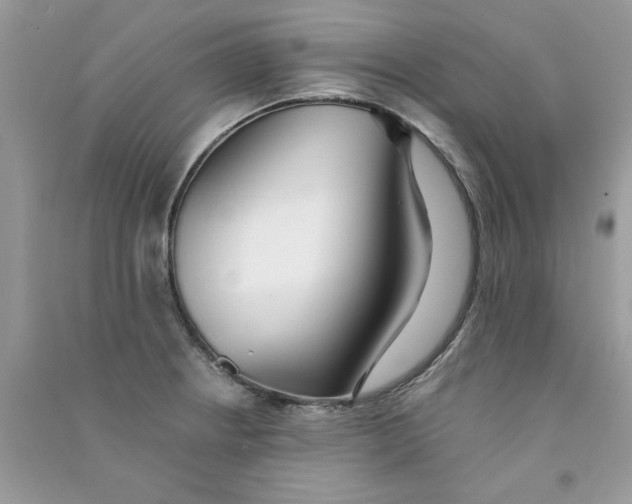 X0000090751234200708172021