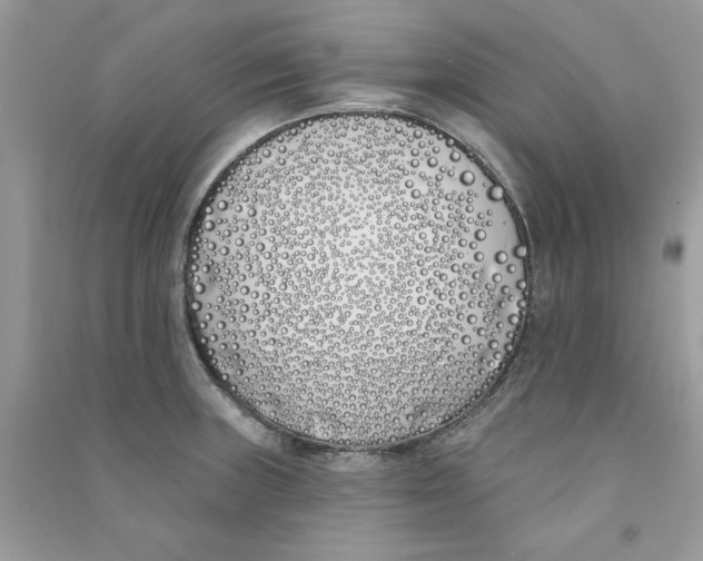 X0000090751235200708172021