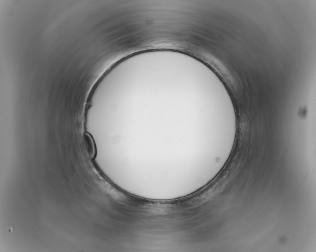 X0000090751236200708172021