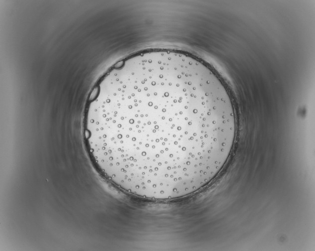 X0000090751237200708172021