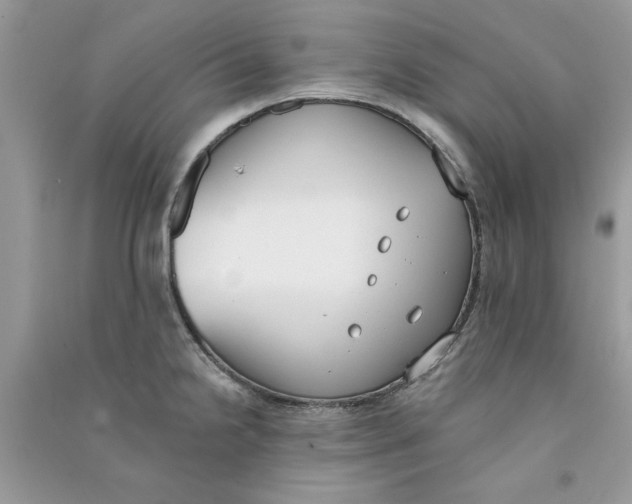 X0000090751238200708172021
