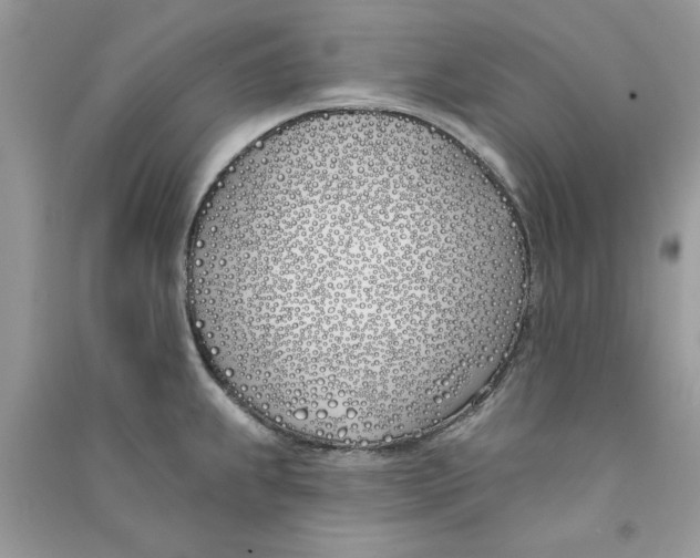 X0000090751239200708172021