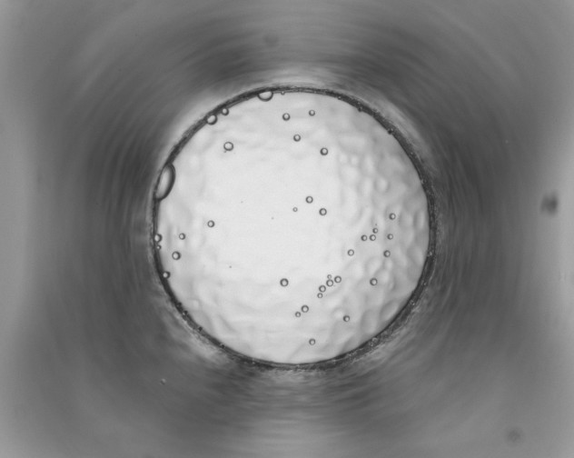 X0000090751240200708172021