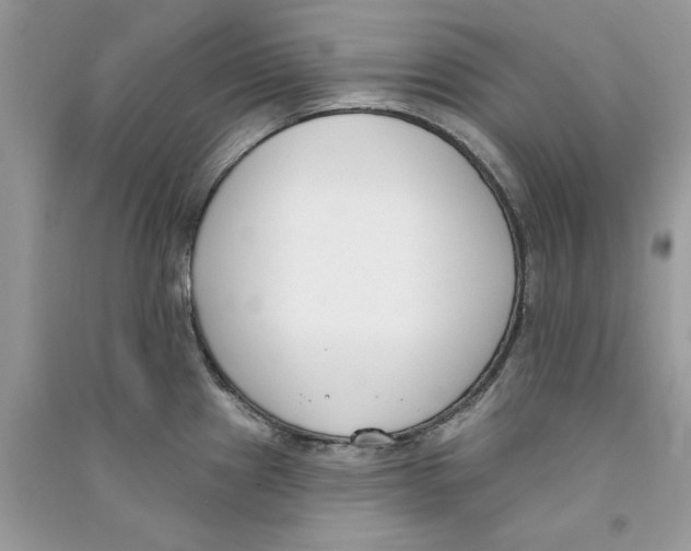 X0000090751241200708172021
