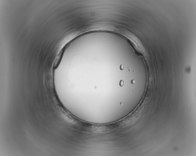 X0000090751242200708172021
