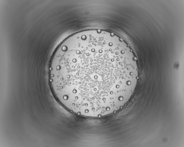 X0000090751243200708172021
