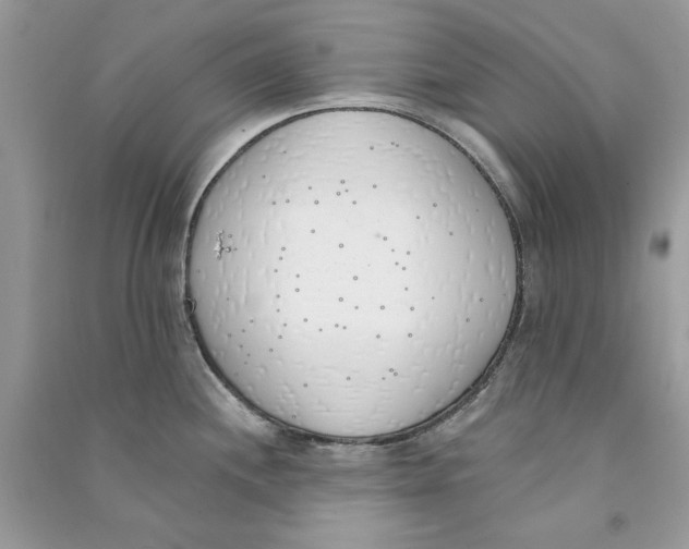 X0000090751244200708172021