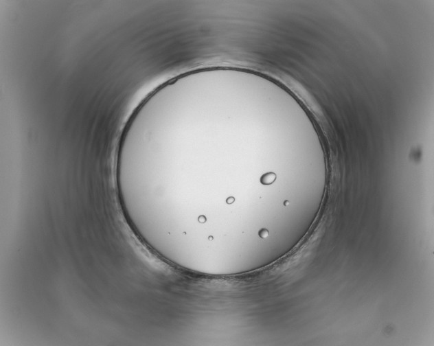 X0000090751246200708172021