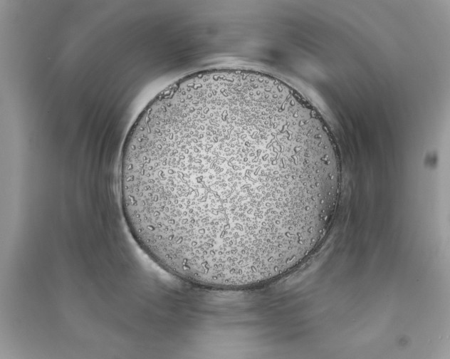 X0000090751247200708172021