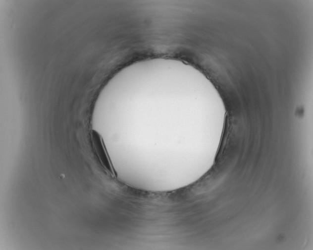X0000090751249200708172020
