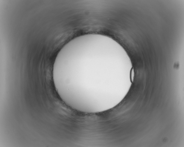 X0000090751250200708172020