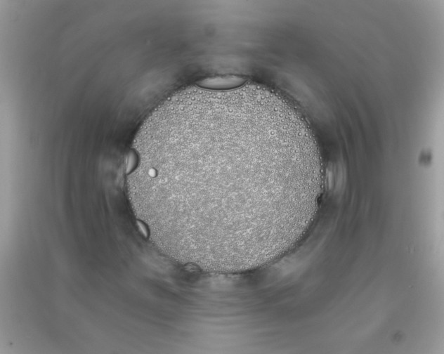 X0000090751251200708172020